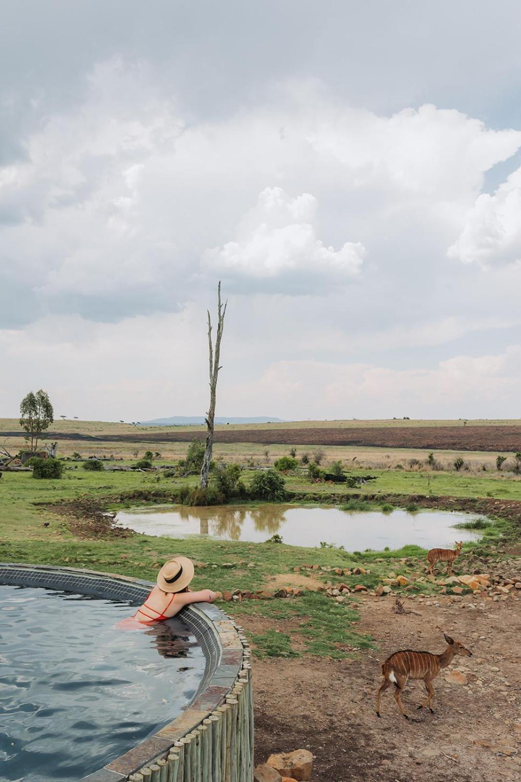 Nambiti Plains Lodge Ледісміт Екстер'єр фото
