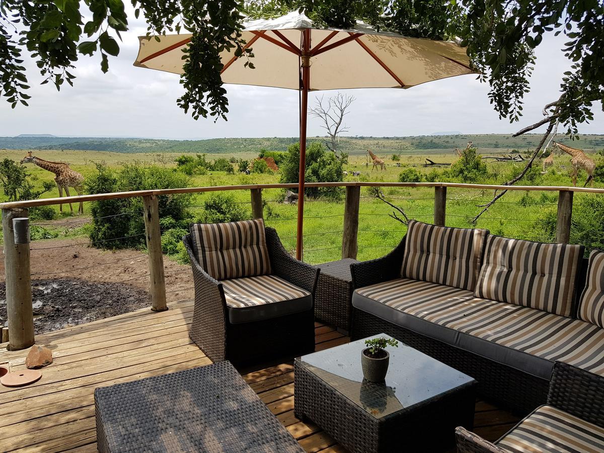 Nambiti Plains Lodge Ледісміт Екстер'єр фото